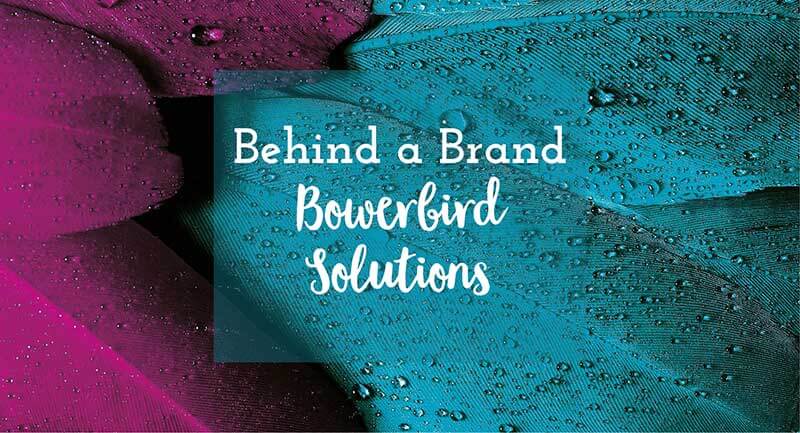 Behind a Brand | Bowerbird Solutions