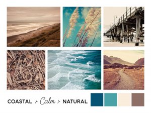 coastal calm natural moodboard beachy style for cafe or homewares store