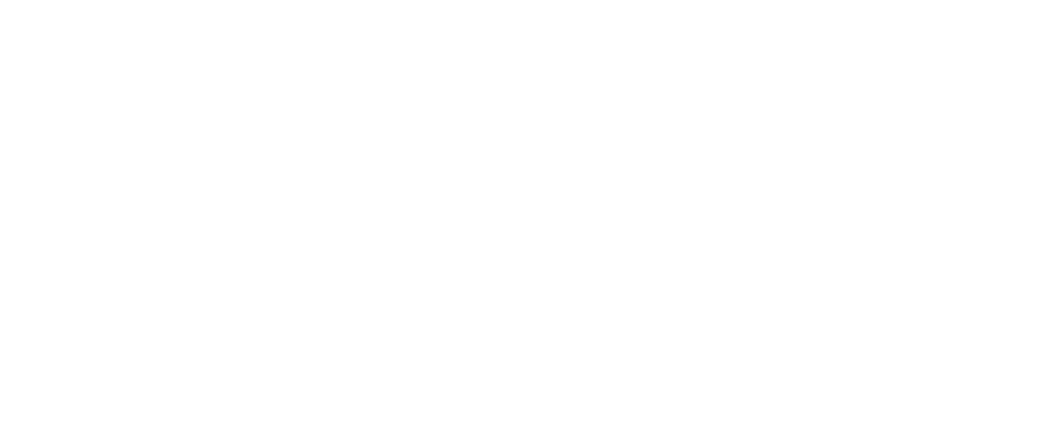 bonuses from radge design one page branding